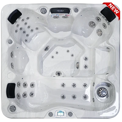 Avalon-X EC-849LX hot tubs for sale in Traverse City