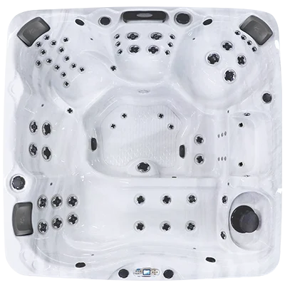 Avalon EC-867L hot tubs for sale in Traverse City