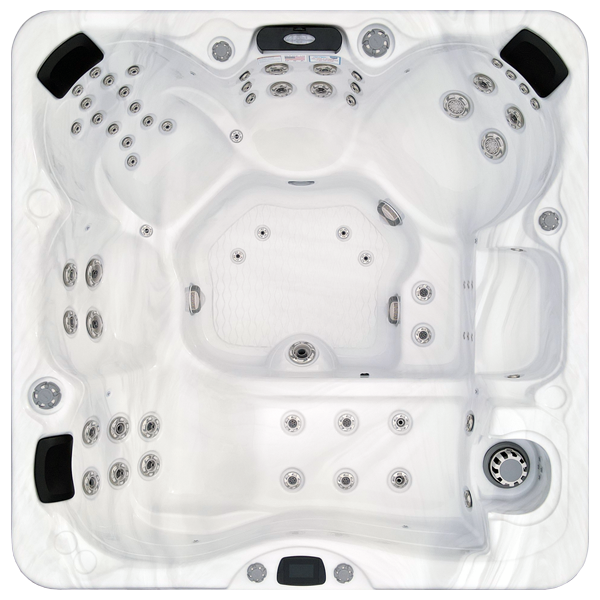 Avalon-X EC-867LX hot tubs for sale in Traverse City